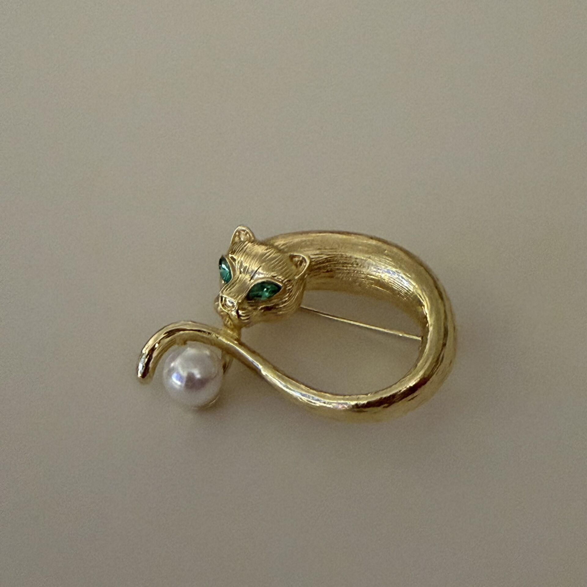 Kaplam İncili Broş